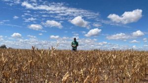 NSW farmers