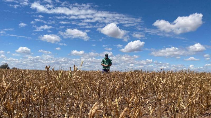 NSW farmers