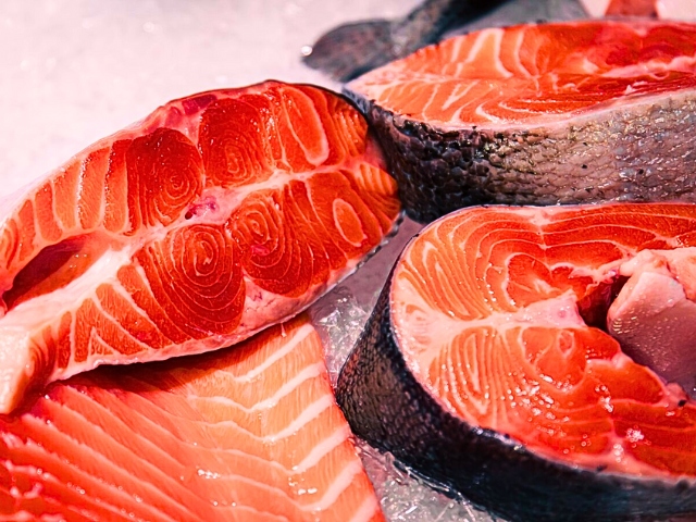 salmon